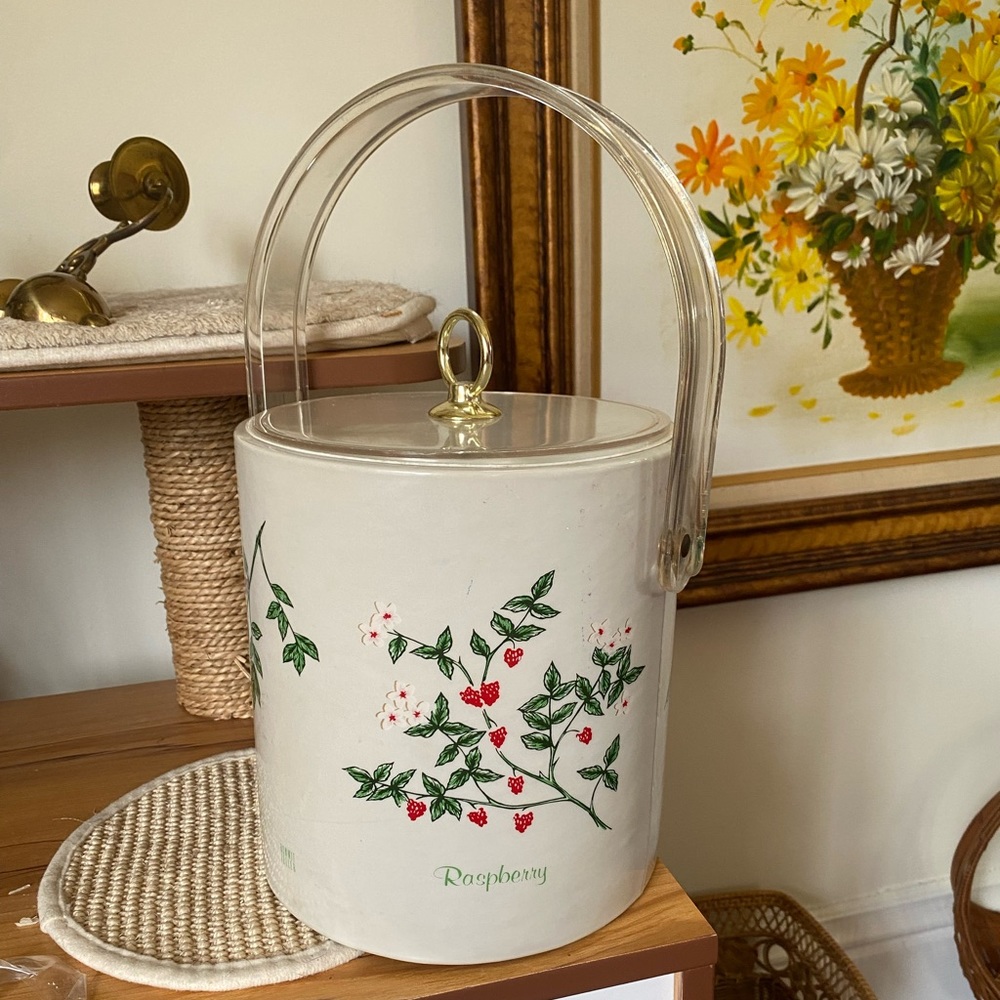 vintage lucite bonwit teller berry ice bucket